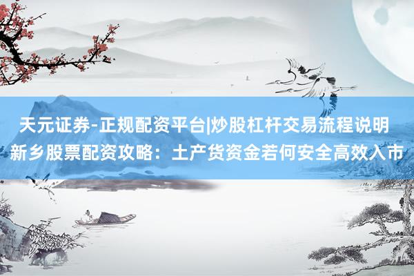 天元证券-正规配资平台|炒股杠杆交易流程说明 新乡股票配资攻略：土产货资金若何安全高效入市